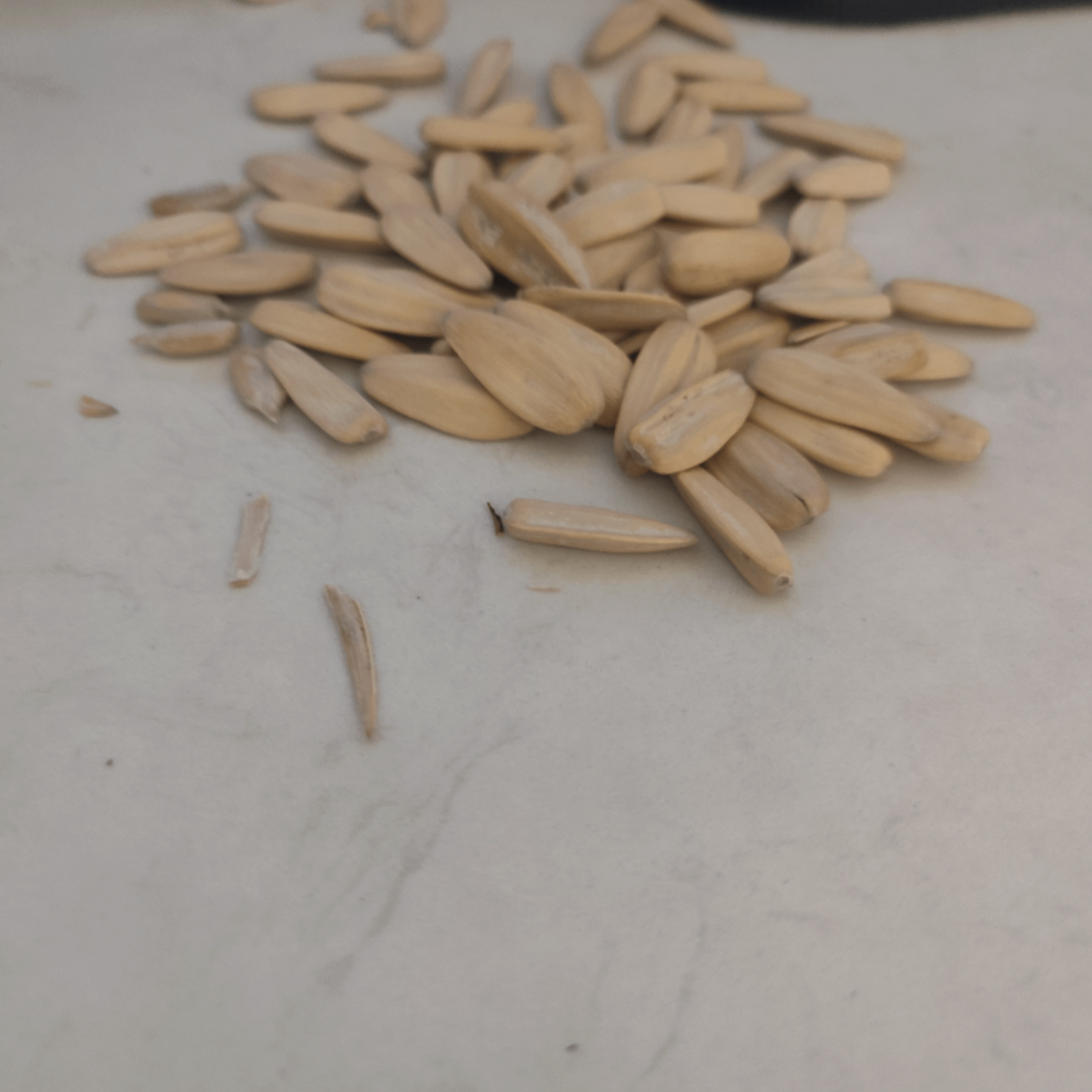 ganm (89743.lens) Lens social identity (.lens handle) PFP