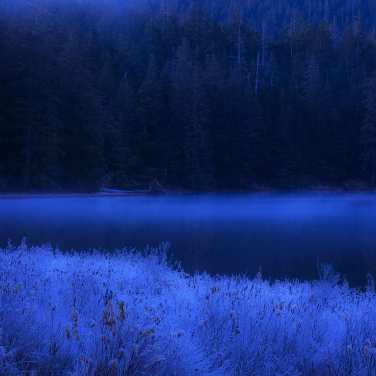 tillaribey5 (tillaribey5.lens) Lens social identity (.lens handle) PFP