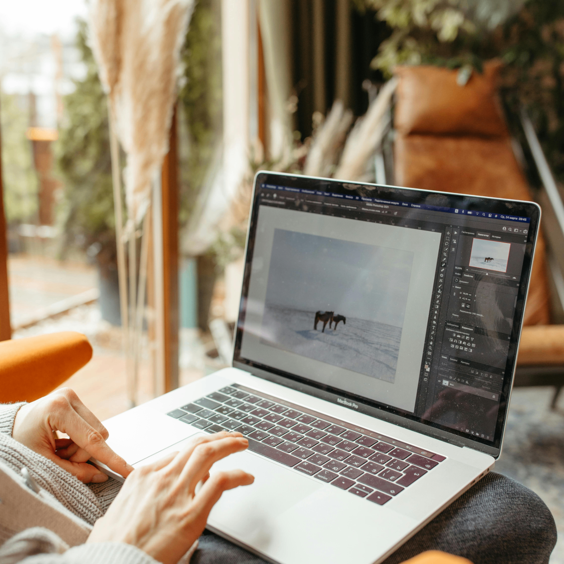 sohail (owuywbebso.lens) Lens social identity (.lens handle) PFP