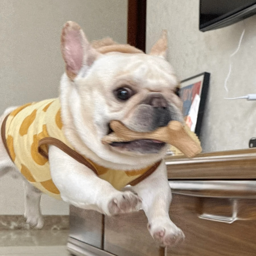 eloye (eloyecuq.lens) Lens social identity (.lens handle) PFP