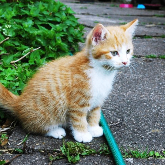 iuyihjnb (wffff.lens) Lens social identity (.lens handle) PFP