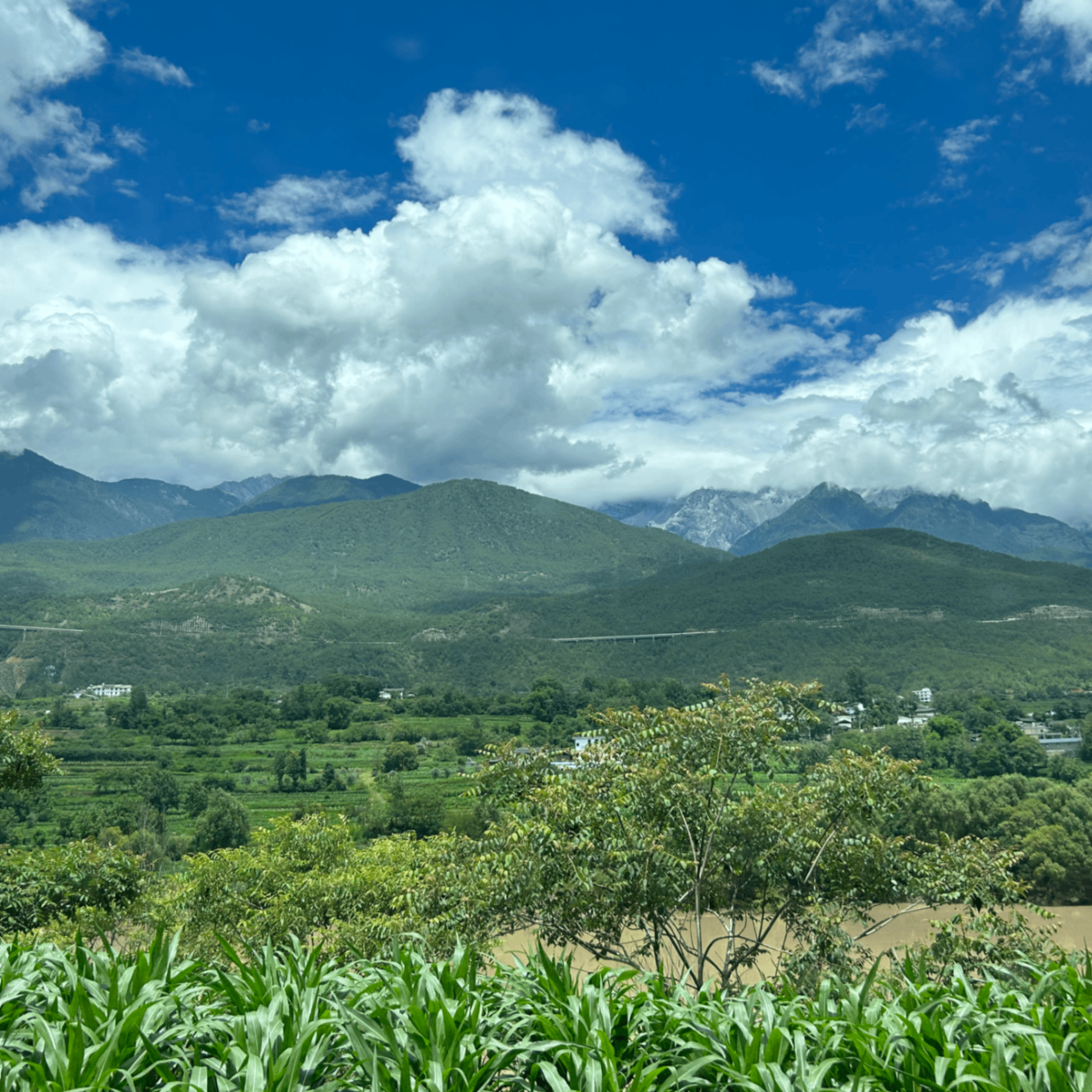 e17 (eth17.lens) Lens social identity (.lens handle) PFP