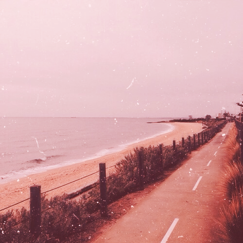 Robin (hsdftser.lens) Lens social identity (.lens handle) PFP