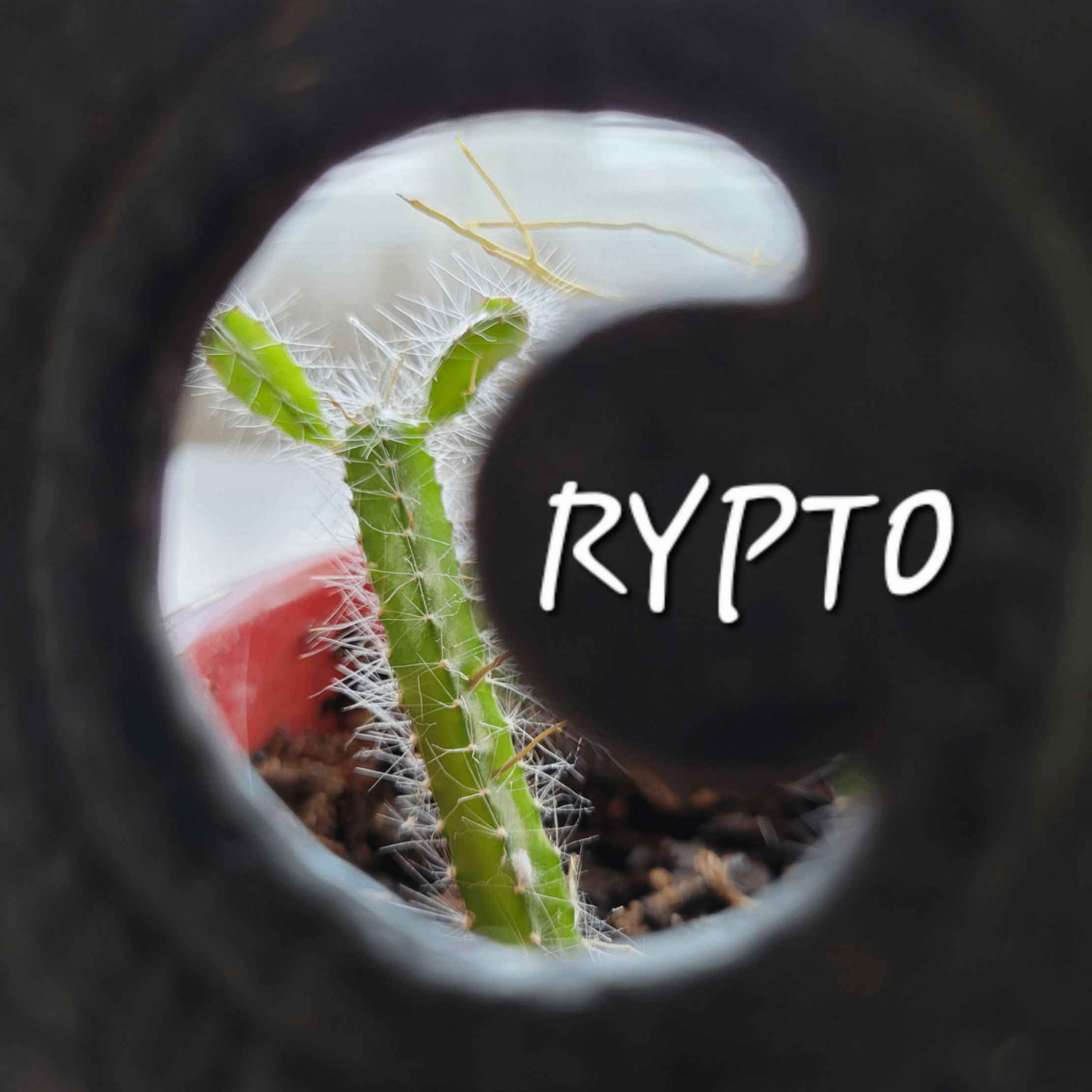 Ty (watchingthis2.lens) Lens social identity (.lens handle) PFP