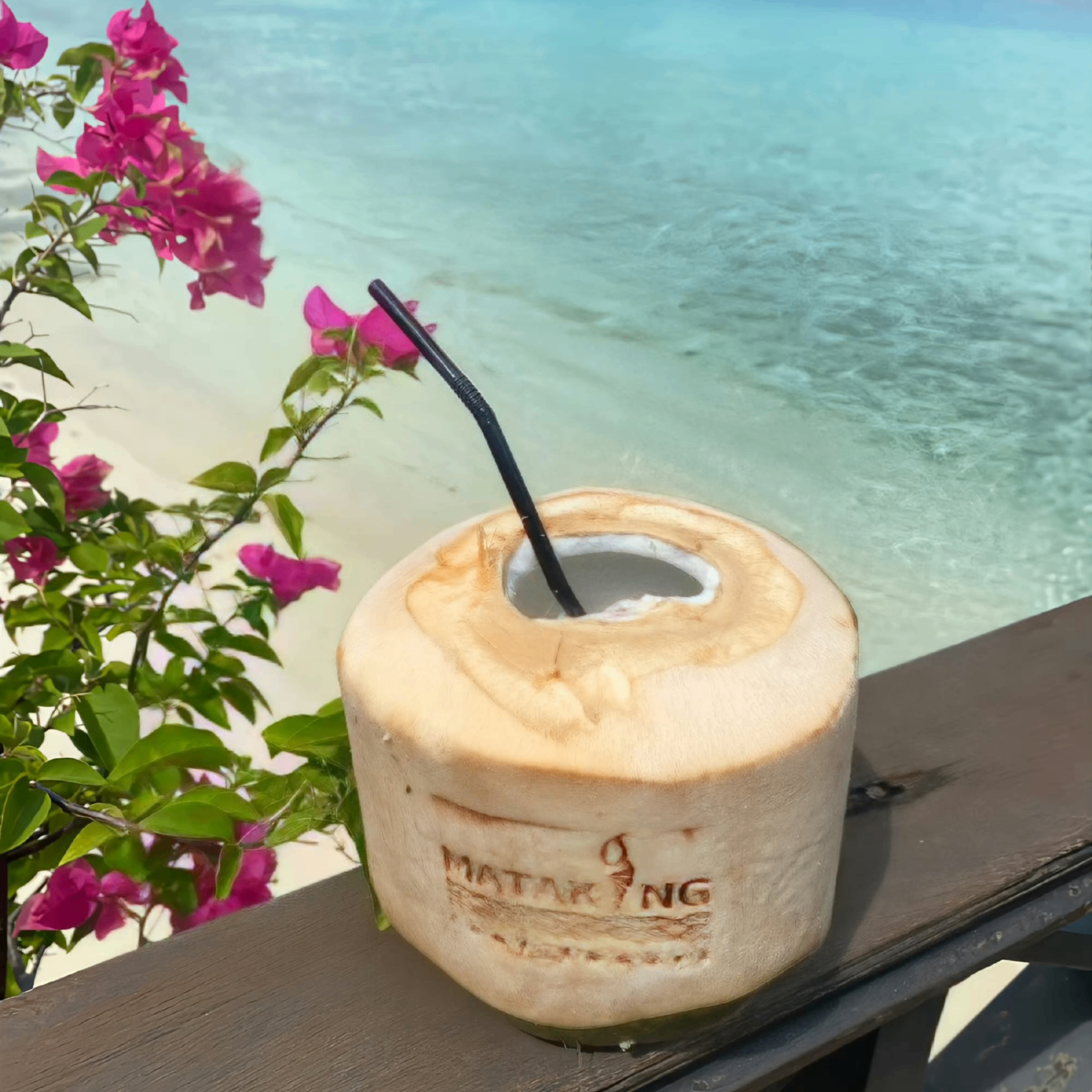 Noah Moore (freeandeasy.lens) Lens social identity (.lens handle) PFP