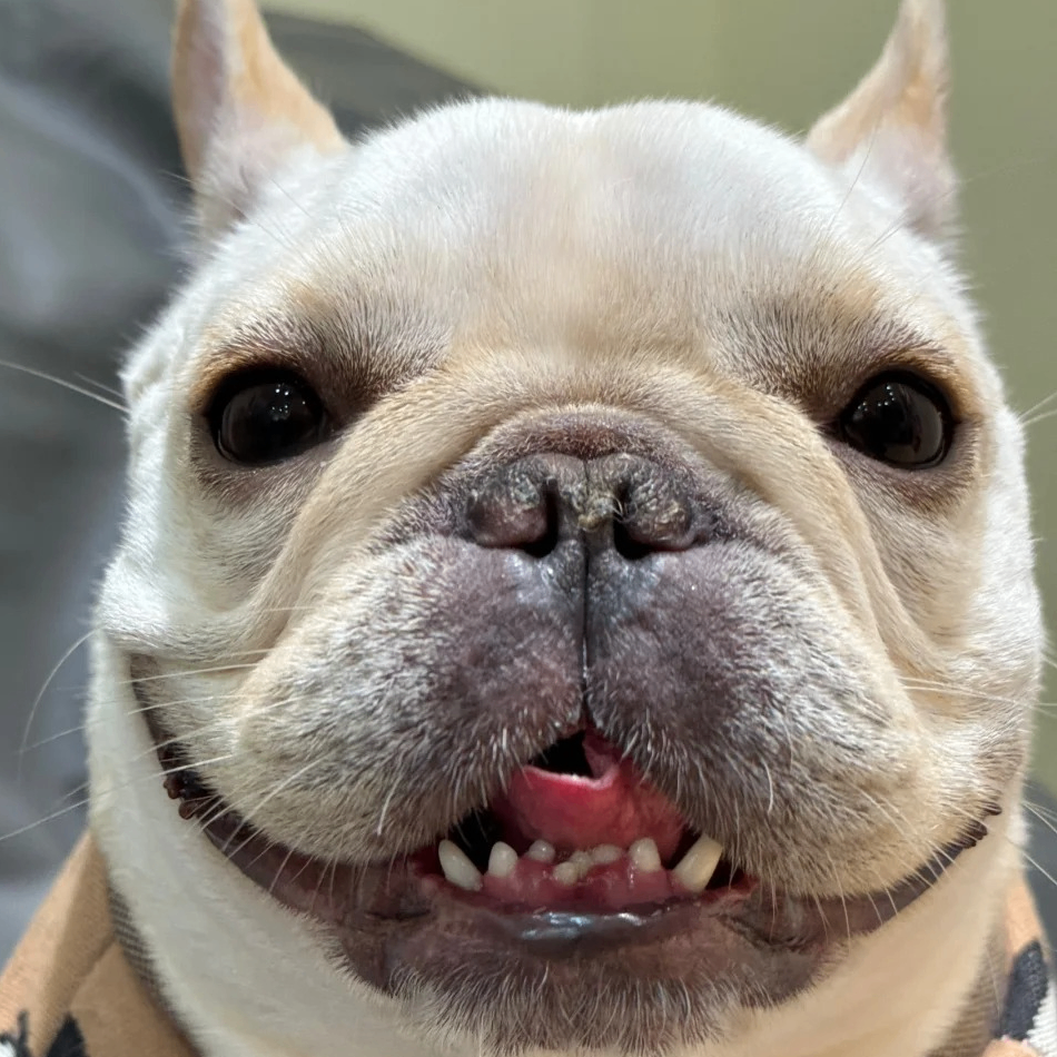 taylor (taylorcollis963.lens) Lens social identity (.lens handle) PFP