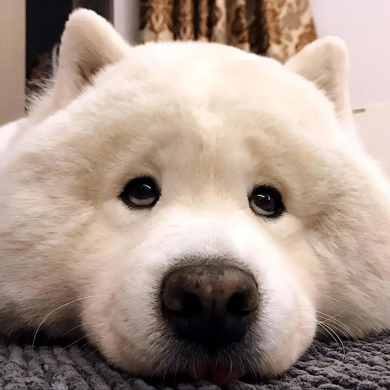 Gary Malory (ddddda.lens) Lens social identity (.lens handle) PFP