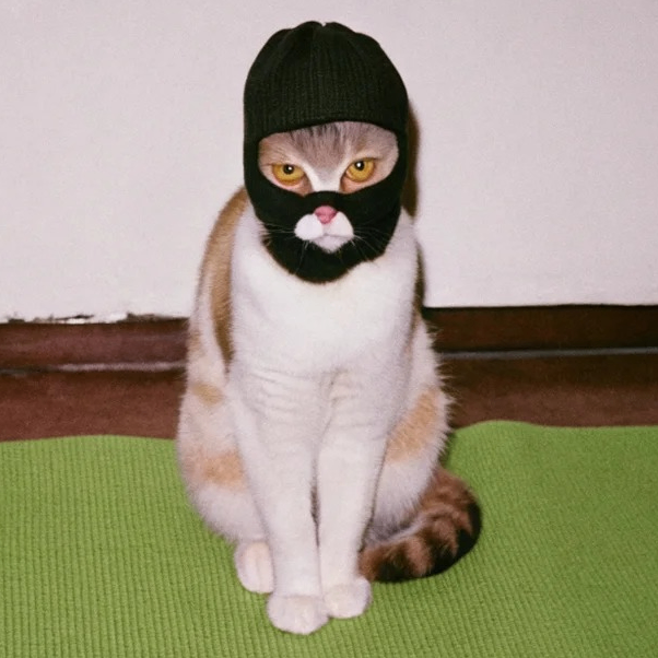 anabudah (anabudah.lens) Lens social identity (.lens handle) PFP