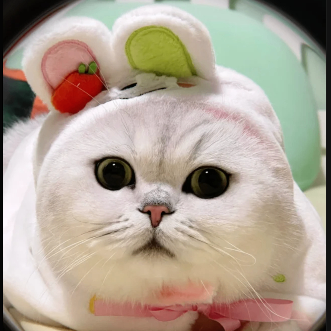 moosh (moosh.lens) Lens social identity (.lens handle) PFP