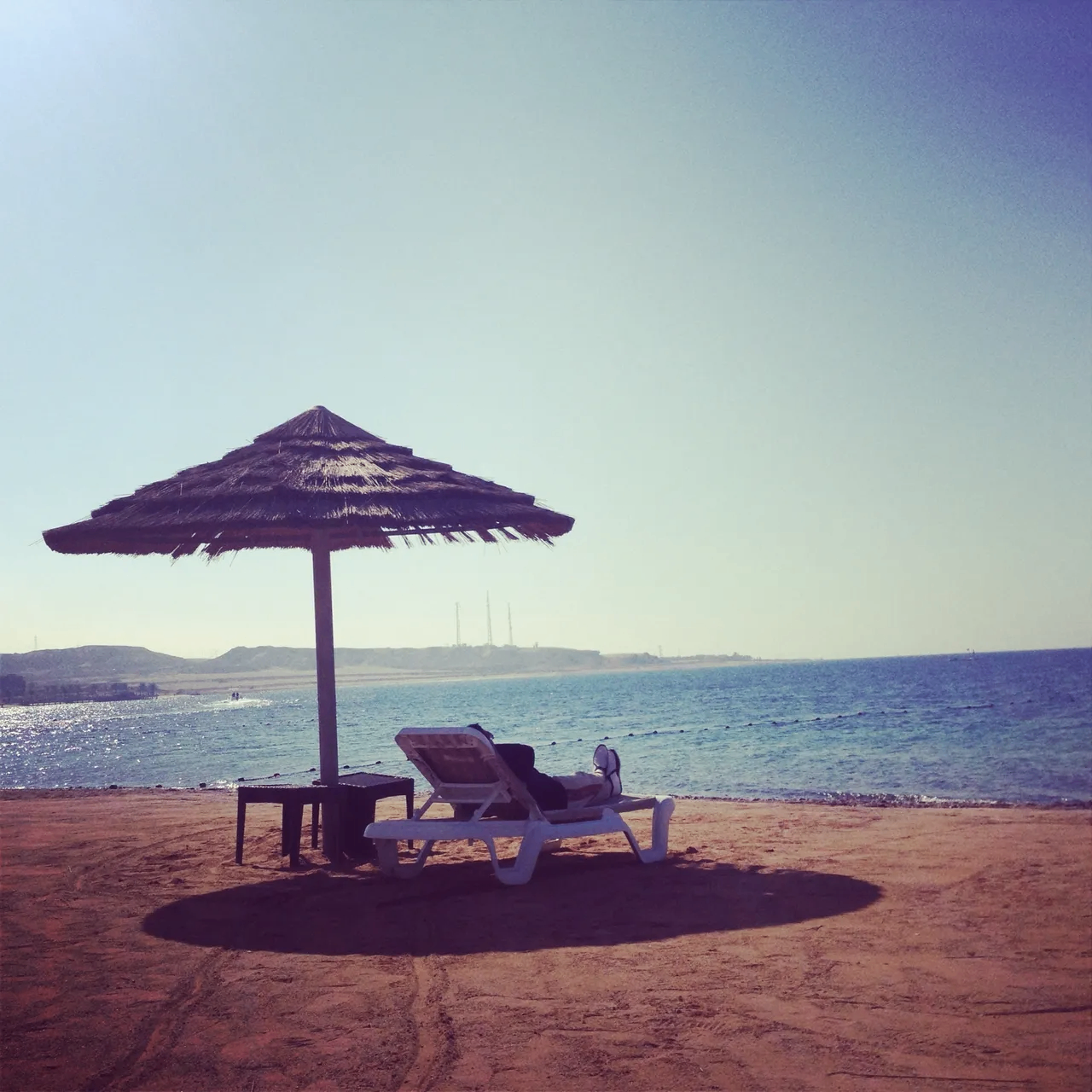 Cook1e (cook1e.lens) Lens social identity (.lens handle) PFP