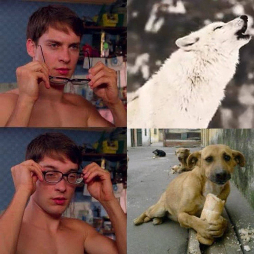 Capral (capral.lens) Lens social identity (.lens handle) PFP