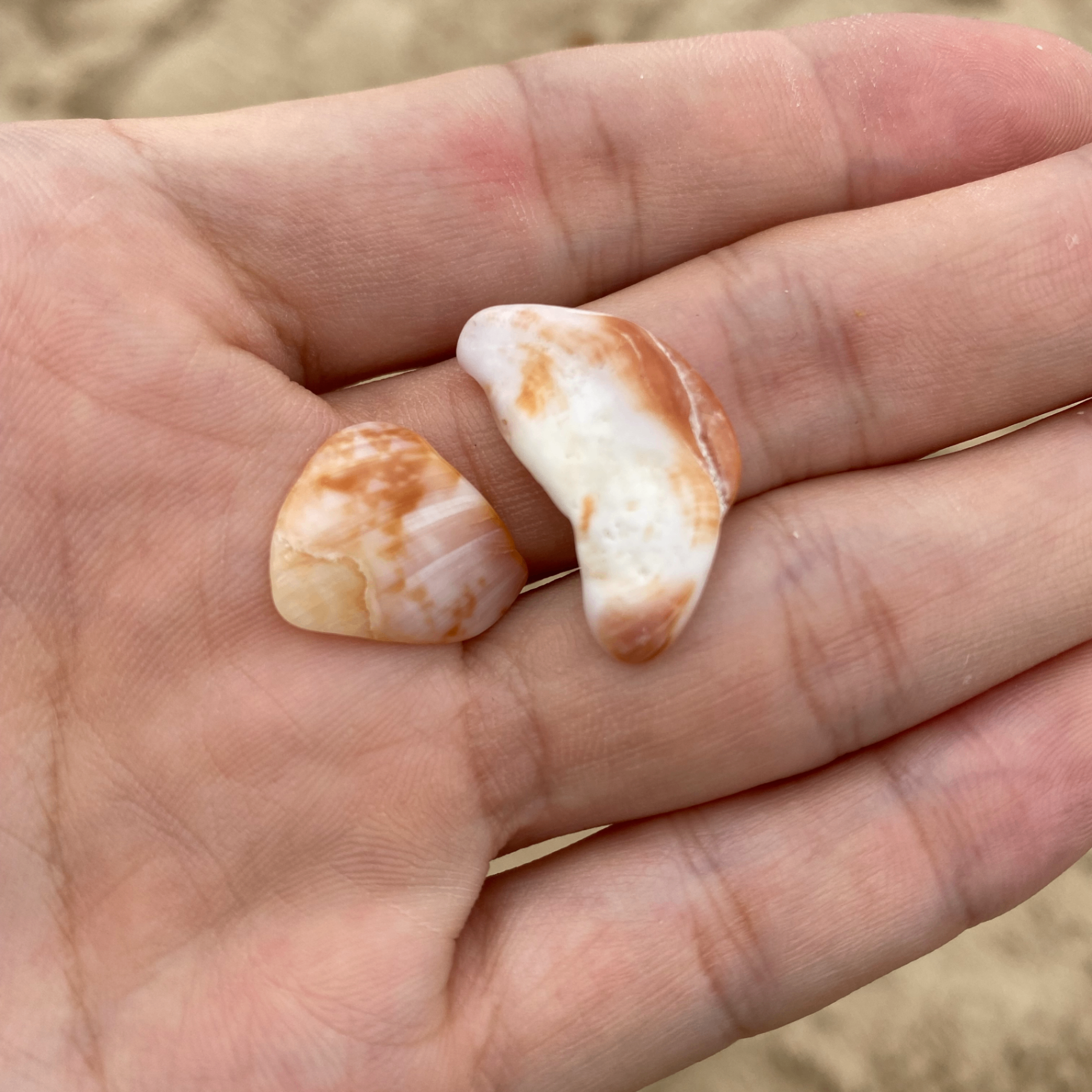 Dogecoin (fe5um97tge57uy.lens) Lens social identity (.lens handle) PFP