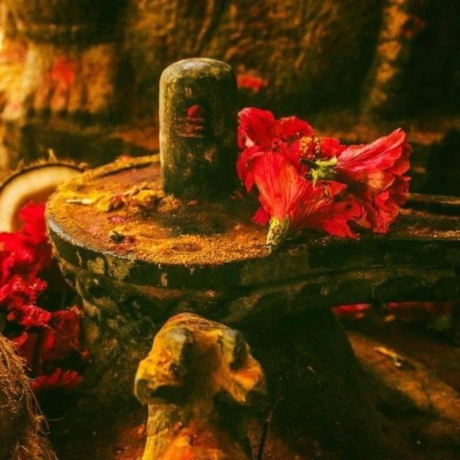 om soni (soniji.lens) Lens social identity (.lens handle) PFP