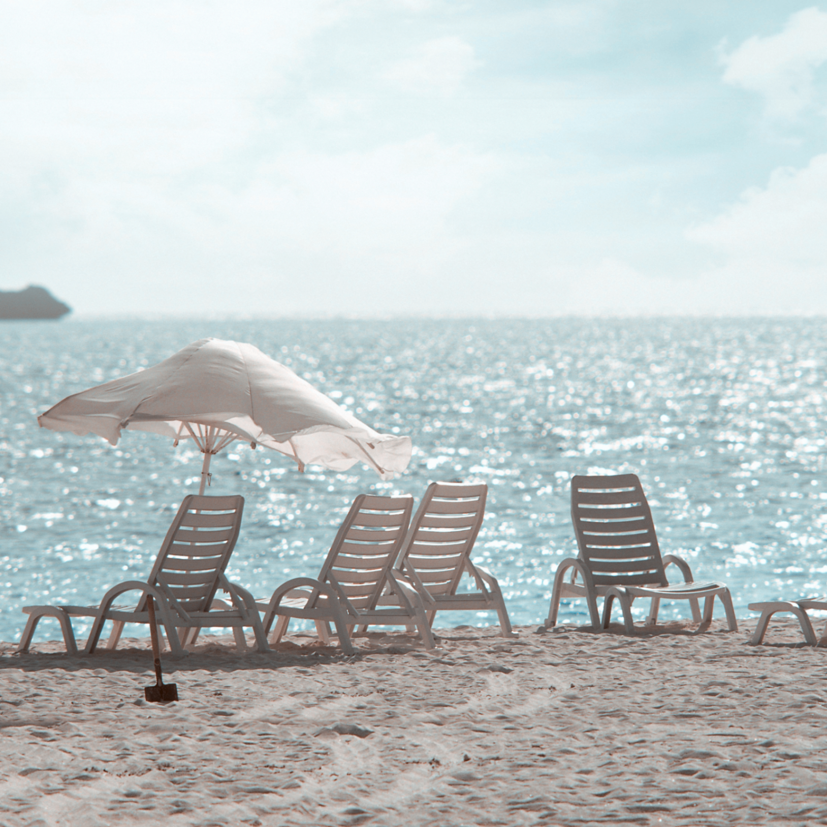 ass (gtgyus.lens) Lens social identity (.lens handle) PFP