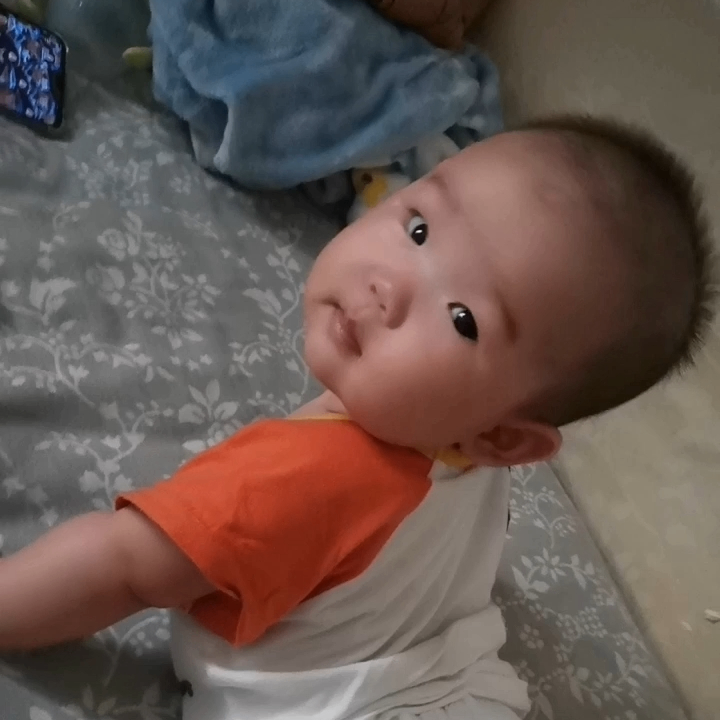 树 (leon0351.lens) Lens social identity (.lens handle) PFP