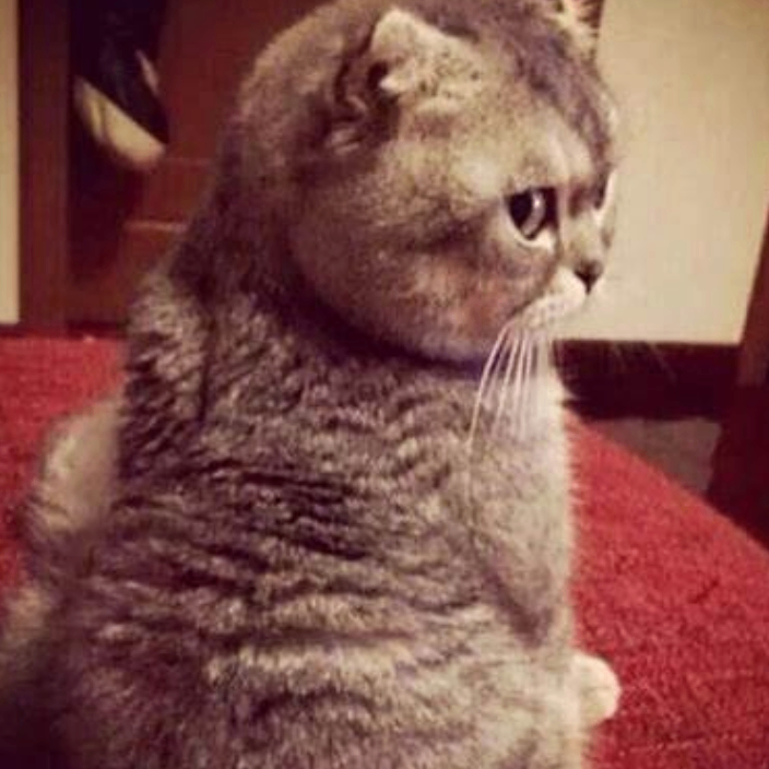 Kevin (ajkzyuru.lens) Lens social identity (.lens handle) PFP