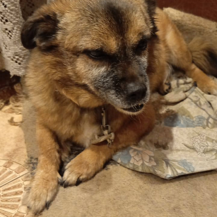 KIrill Zakharov (kirillzaha.lens) Lens social identity (.lens handle) PFP