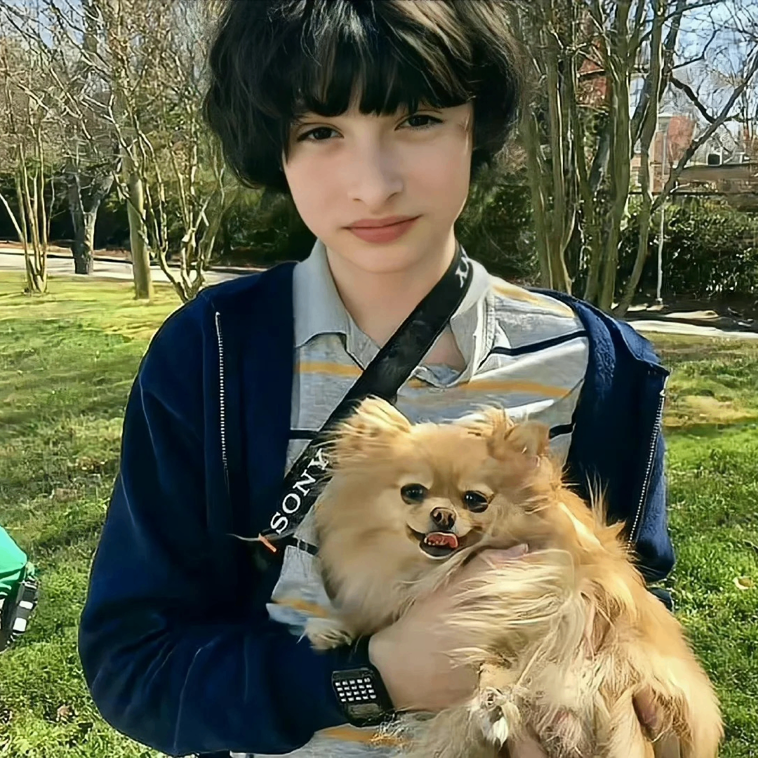 hilaryad (hilaryad.lens) Lens social identity (.lens handle) PFP