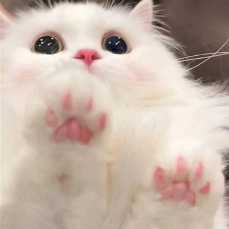 Kelly Wyld(e) (bvvvvv.lens) Lens social identity (.lens handle) PFP