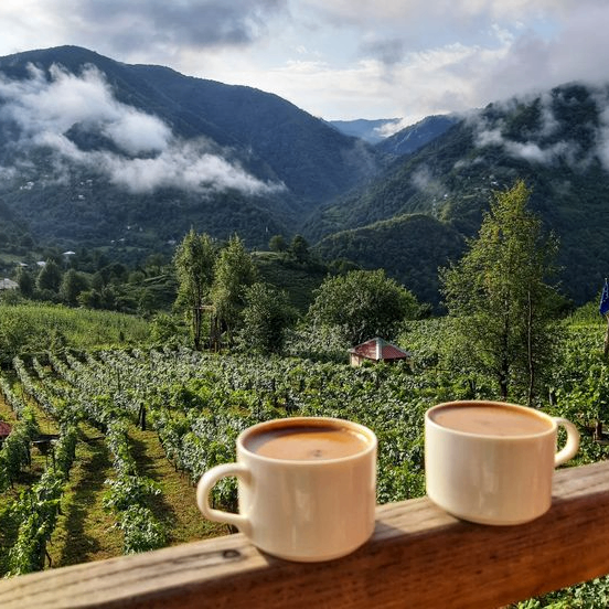 CoffeeLover (0xcoffee.lens) Lens social identity (.lens handle) PFP