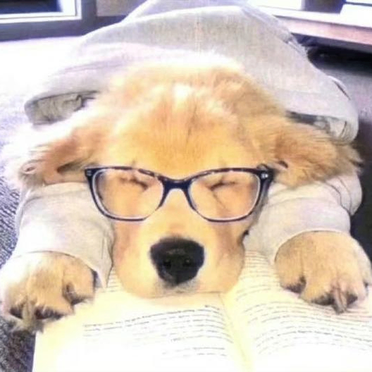 Allen Robbins (duuuu.lens) Lens social identity (.lens handle) PFP