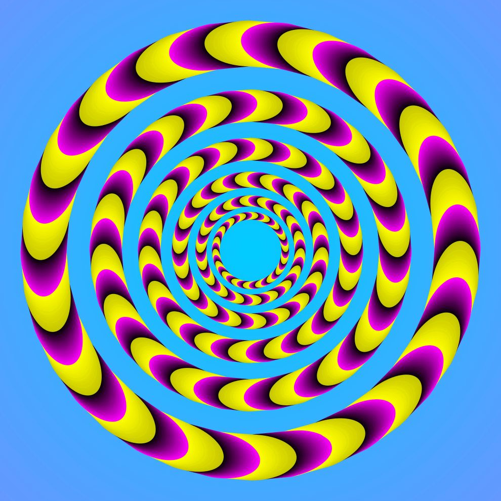 Momo (gaula.lens) Lens social identity (.lens handle) PFP