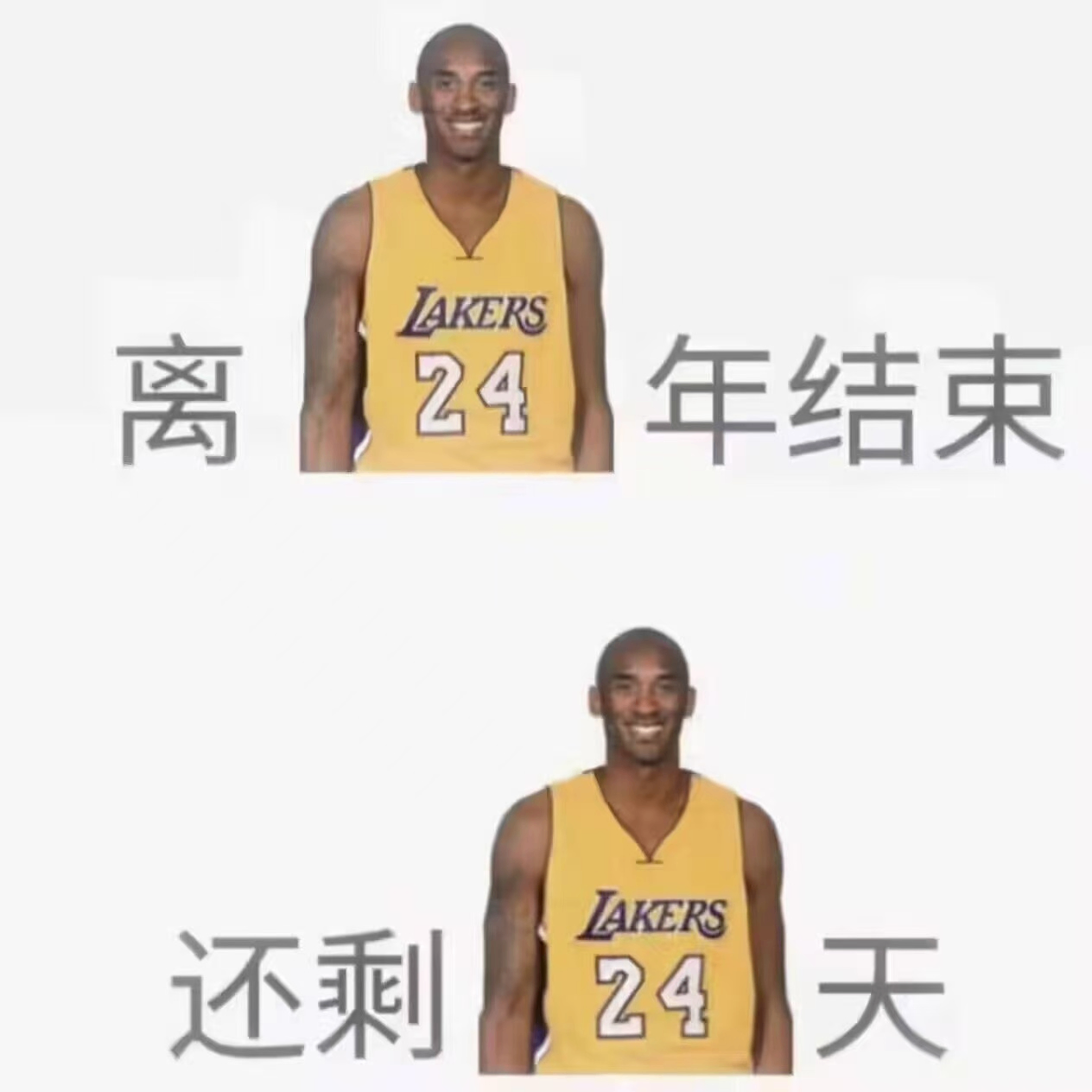 rferfrfer (gjhtty.lens) Lens social identity (.lens handle) PFP