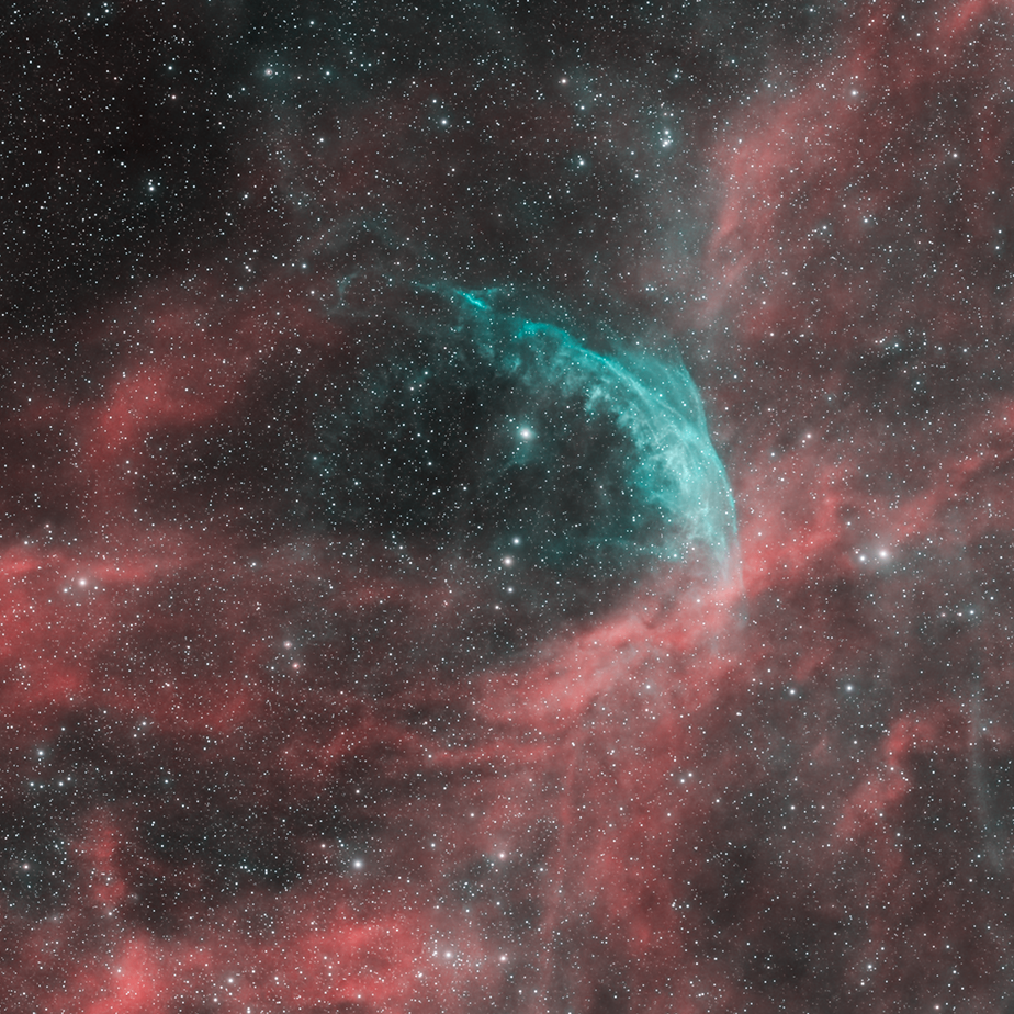 Ryan (wnayr.lens) Lens social identity (.lens handle) PFP