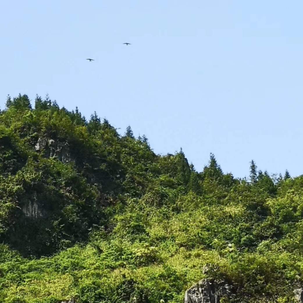 yliao88 (yliao88.lens) Lens social identity (.lens handle) PFP