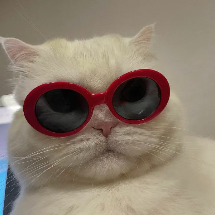 Jayden (lincolns.lens) Lens social identity (.lens handle) PFP