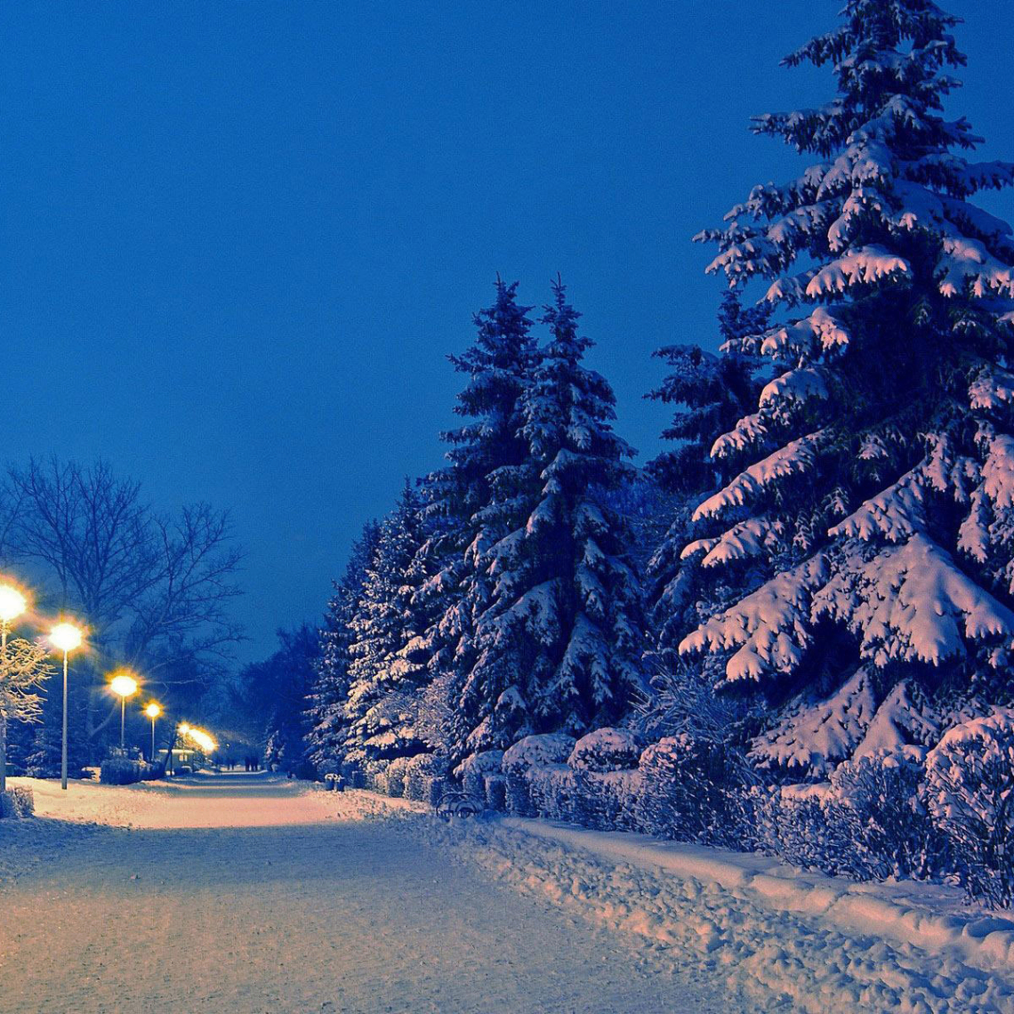 GH (nexylux.lens) Lens social identity (.lens handle) PFP