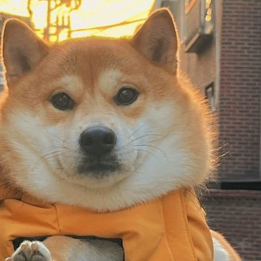 bjji (efefc.lens) Lens social identity (.lens handle) PFP