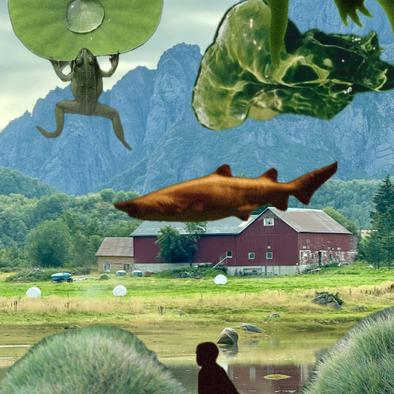 Aurabotik (aurabotik.lens) Lens social identity (.lens handle) PFP