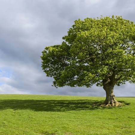 block_hasher (lowbalance.lens) Lens social identity (.lens handle) PFP