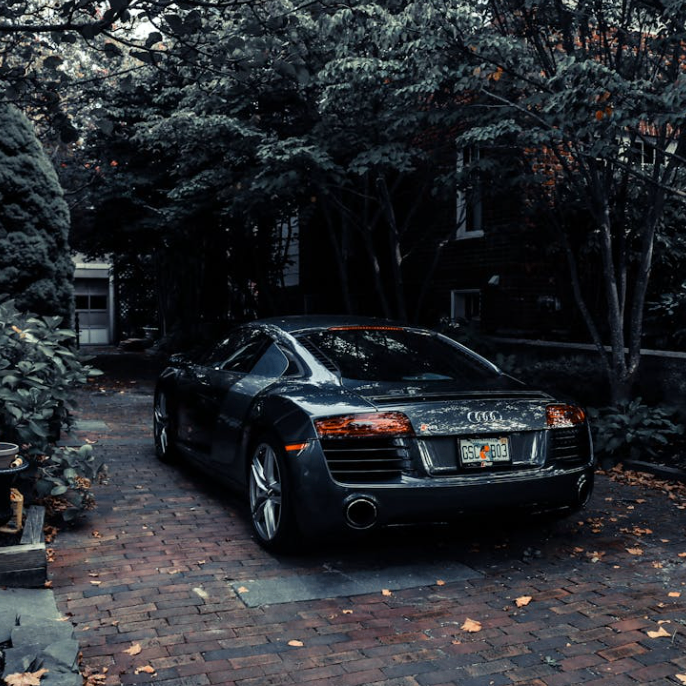 sfcdsfserf (xzoihqoh.lens) Lens social identity (.lens handle) PFP