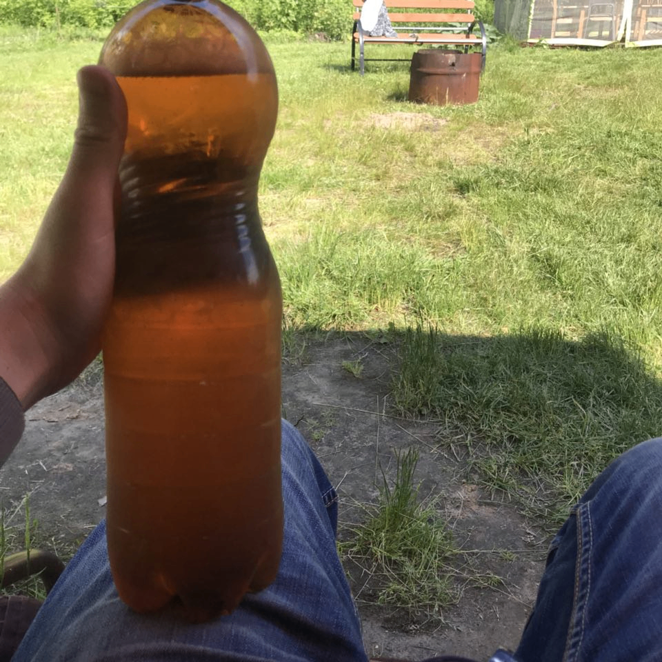 veshalka (veshalka.lens) Lens social identity (.lens handle) PFP