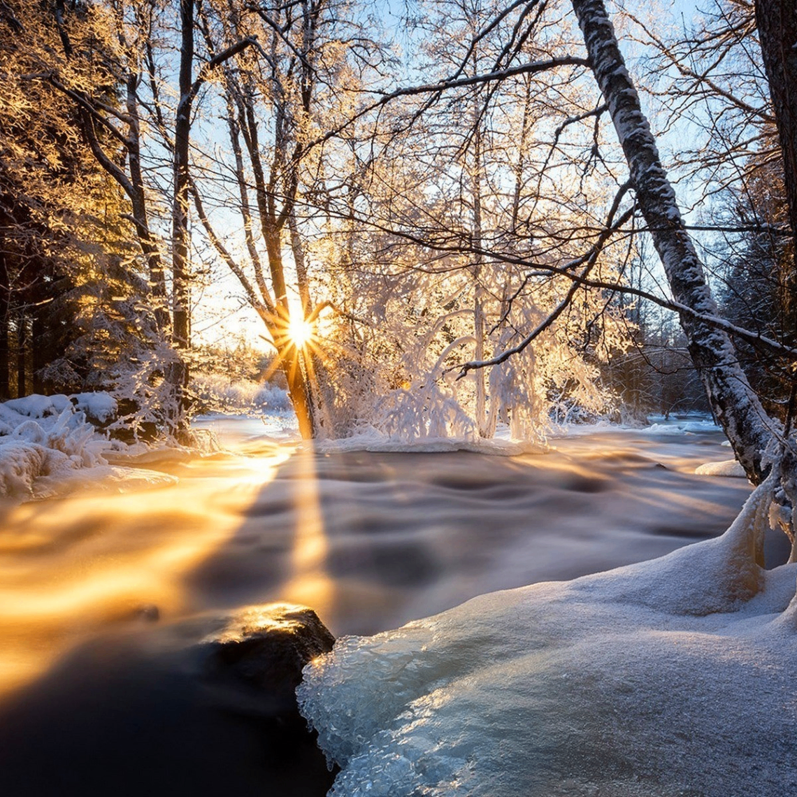 hj (tacky.lens) Lens social identity (.lens handle) PFP