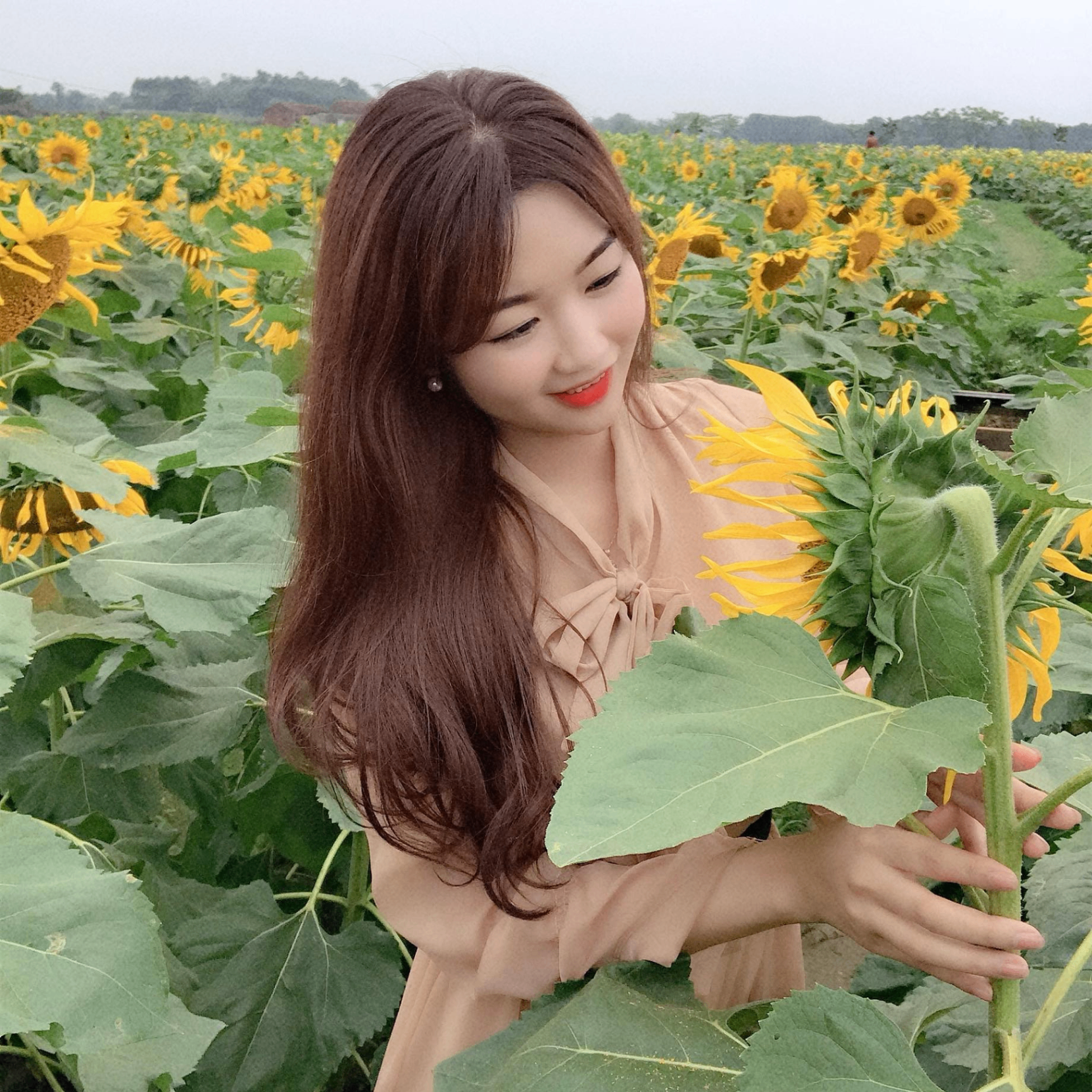 Trader1 (trader1.lens) Lens social identity (.lens handle) PFP