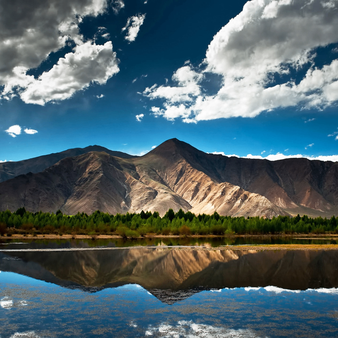 ewtfa (coincircuit.lens) Lens social identity (.lens handle) PFP