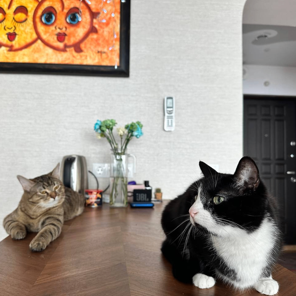 Anya (anyakorsh.lens) Lens social identity (.lens handle) PFP