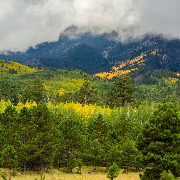 Mag Hobbes (pppoo.lens) Lens social identity (.lens handle) PFP