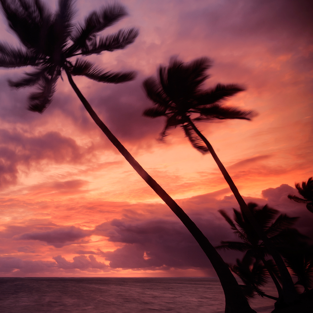 gm-0 (mnuio.lens) Lens social identity (.lens handle) PFP