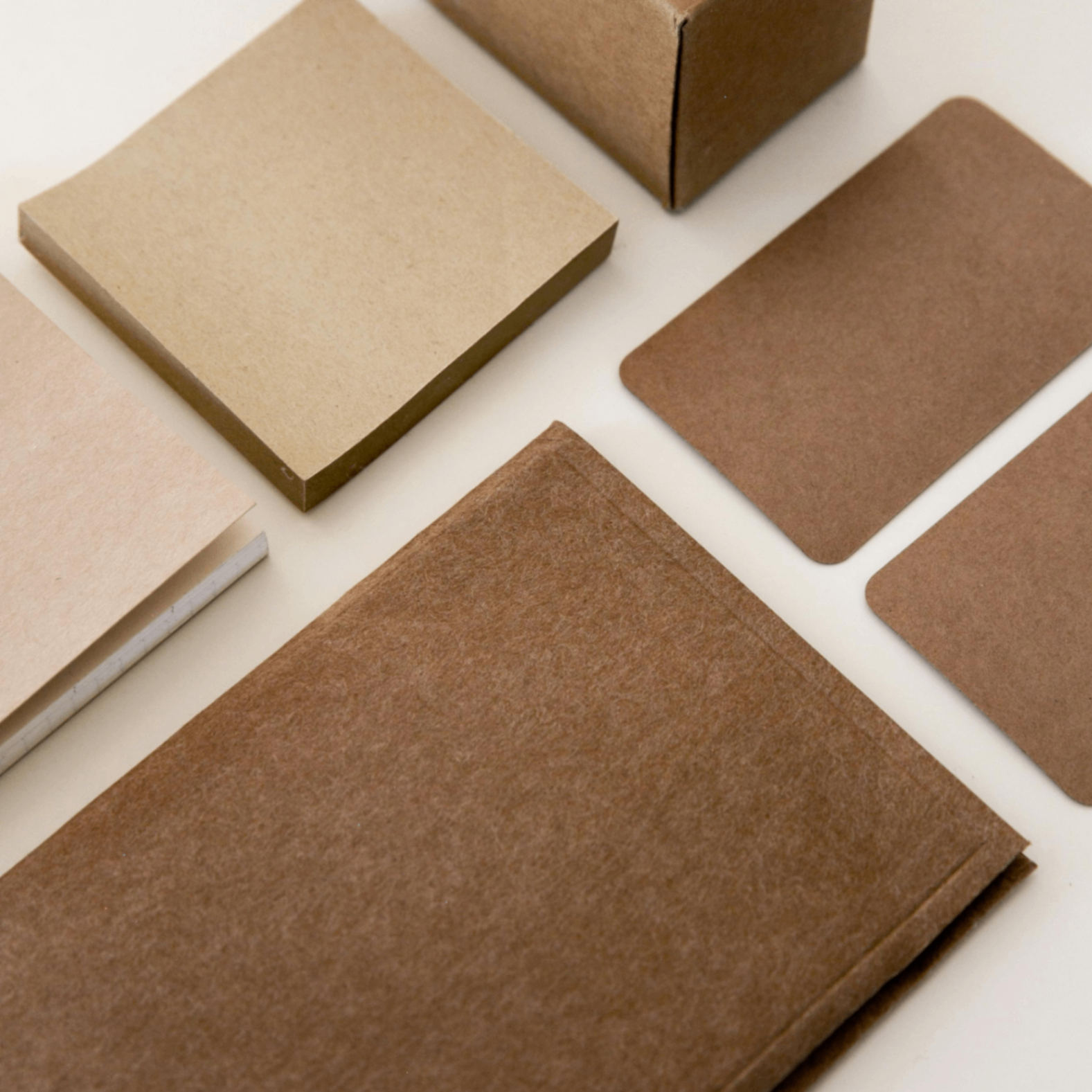 Stoph (stoph.lens) Lens social identity (.lens handle) PFP