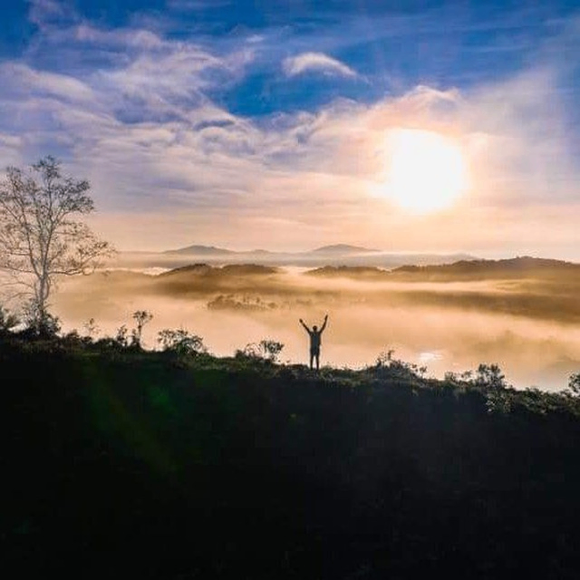 pukh (pukhfh.lens) Lens social identity (.lens handle) PFP