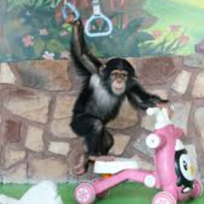 nnmmnmnjj (vsvsvsvs.lens) Lens social identity (.lens handle) PFP