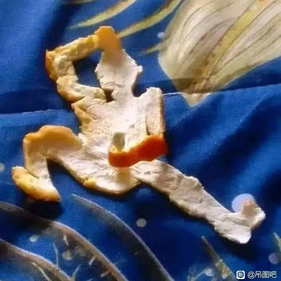 gweeeeeg5g (tin69.lens) Lens social identity (.lens handle) PFP