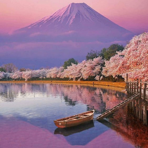 MOVIE BUFF (blondel36421451.lens) Lens social identity (.lens handle) PFP