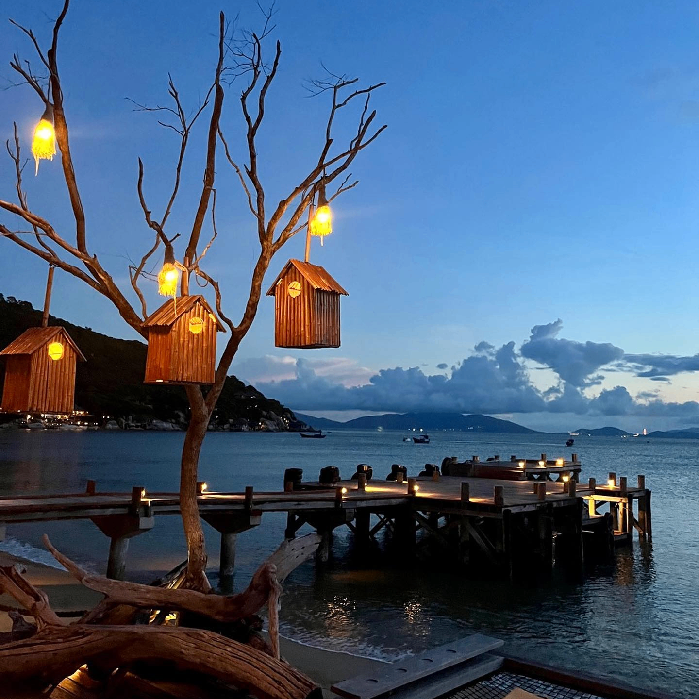 yangziyan (32468.lens) Lens social identity (.lens handle) PFP