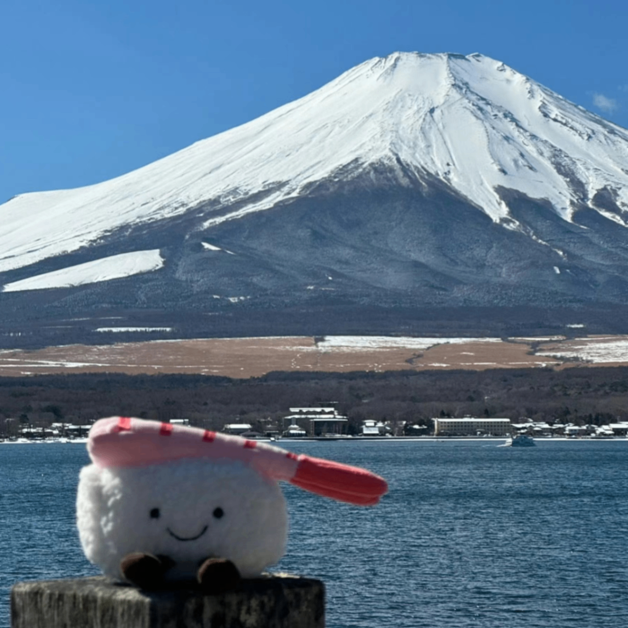 日本の美しい風景です (eillie.lens) Lens social identity (.lens handle) PFP