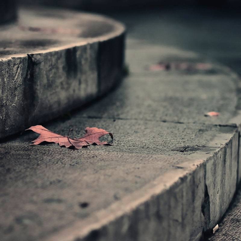 vbn (nexolar.lens) Lens social identity (.lens handle) PFP